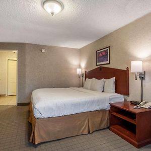 One-Bedroom King Suite
